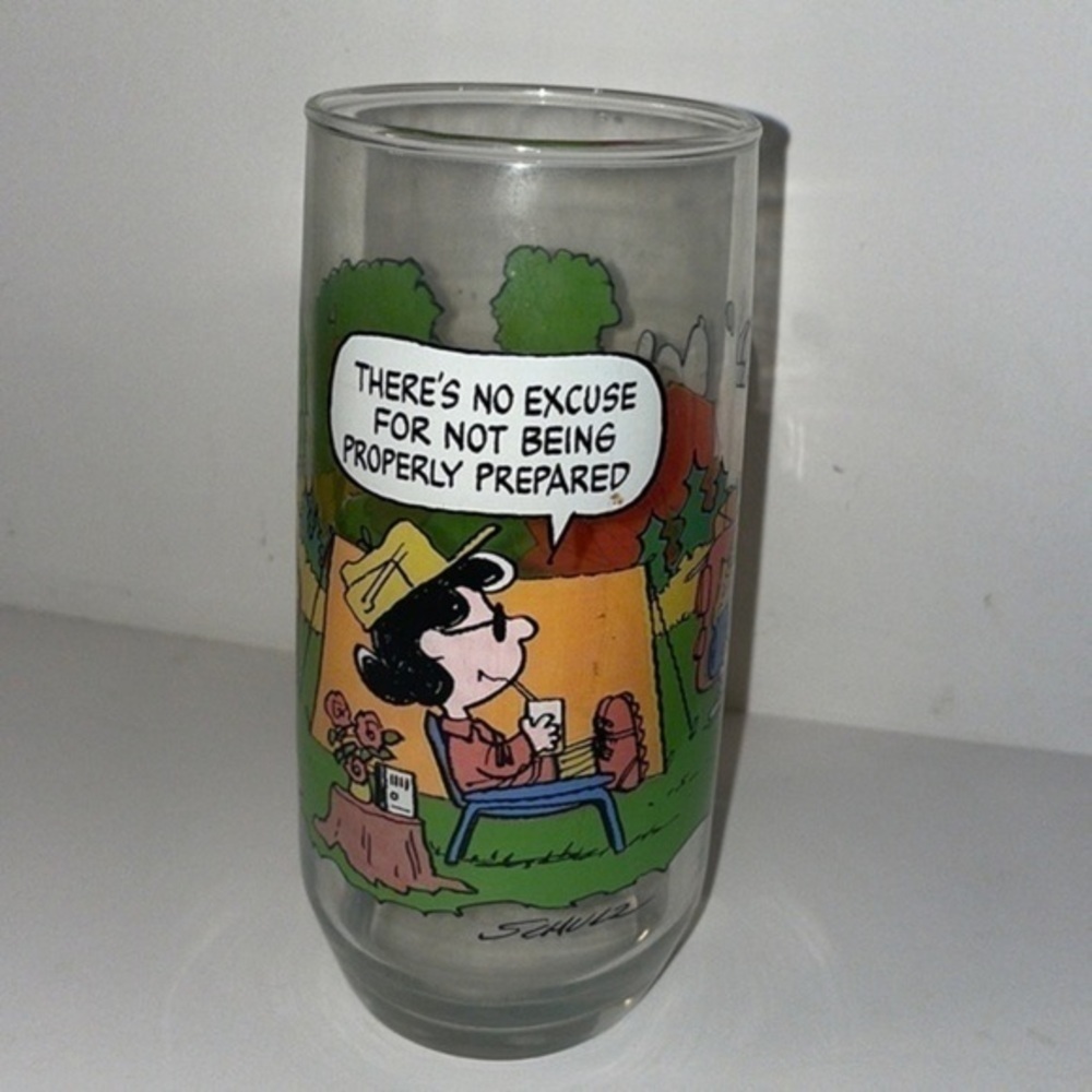 Vintage Camp Snoopy Collection Glass Schulz Lucy Charlie Brown Drinkware OS
